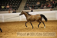 08usn-s03588 proof