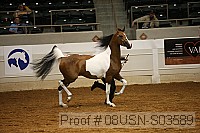 08usn-s03589 proof