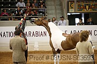 08usn-s03593 proof