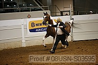 08usn-s03595 proof