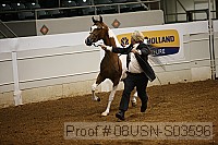 08usn-s03596 proof