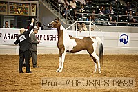 08usn-s03599 proof