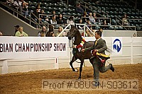 08usn-s03612 proof