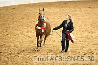 08usn-05160 proof
