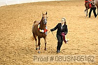 08usn-05162 proof