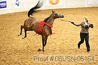 08usn-05164 proof