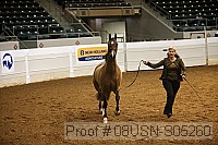 08usn-s05260 proof