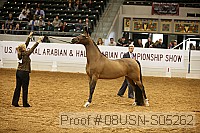 08usn-s05262 proof