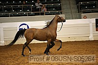 08usn-s05264 proof