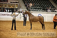 08usn-s05266 proof