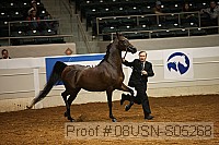 08usn-s05268 proof