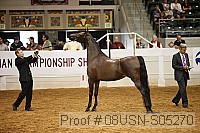 08usn-s05270 proof