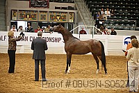 08usn-s05274 proof