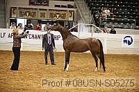 08usn-s05275 proof