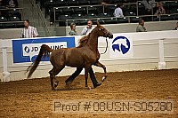 08usn-s05280 proof