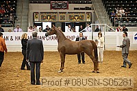 08usn-s05281 proof