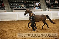 08usn-s05285 proof