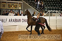 08usn-s05294 proof