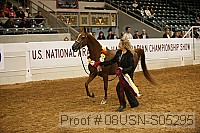 08usn-s05295 proof