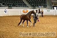 08usn-05179 proof
