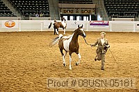 08usn-05181 proof
