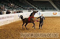 08usn-05186 proof