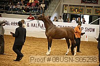 08usn-s05298 proof