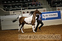 08usn-s05302 proof
