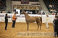 08usn-s05308 proof