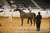 08usn-s05311 proof