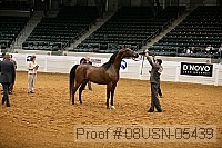 08usn-05439 proof