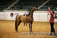 08usn-05442 proof