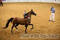 08usn-05458 proof