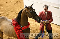 08usn-05462 proof