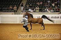 08usn-s05511 proof