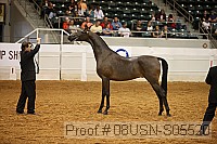 08usn-s05520 proof