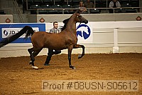 08usn-s05612 proof