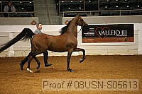 08usn-s05613 proof