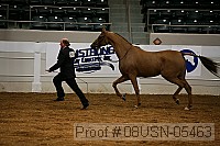 08usn-05463 proof