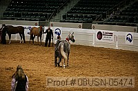 08usn-05474 proof