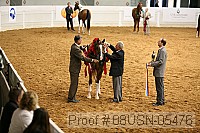 08usn-05476 proof