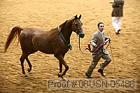 08usn-05486 proof