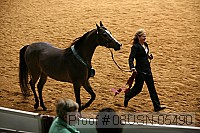 08usn-05490 proof