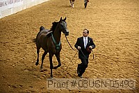 08usn-05493 proof