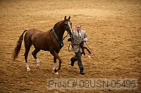 08usn-05495 proof