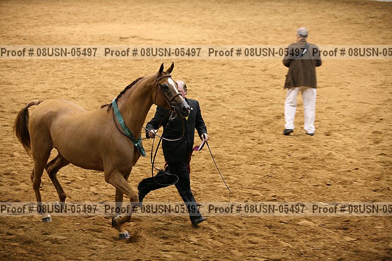 Proof 08usn-05497