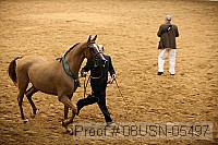 08usn-05497 proof