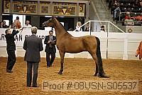 08usn-s05537 proof