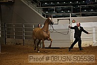 08usn-s05538 proof