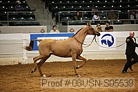 08usn-s05539 proof